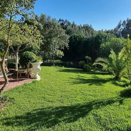 Honeysuckle And Flo ヴィラ A Dos Francos