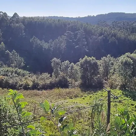 Honeysuckle And Flo A Dos Francos