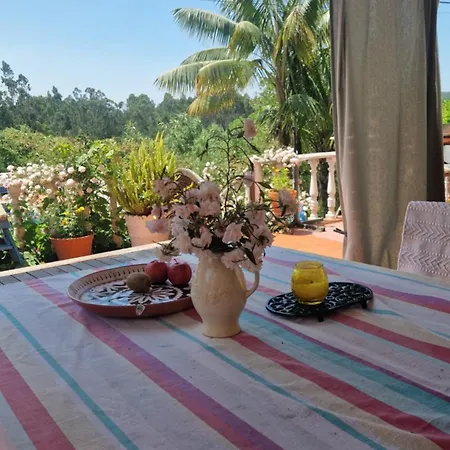 ヴィラ Honeysuckle And Flo A Dos Francos