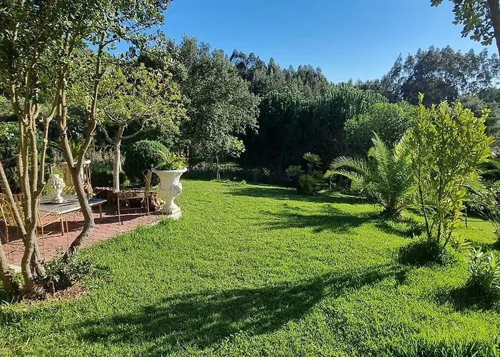 Honeysuckle And Flo ヴィラ A Dos Francos