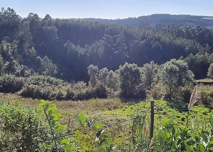 Honeysuckle And Flo A Dos Francos