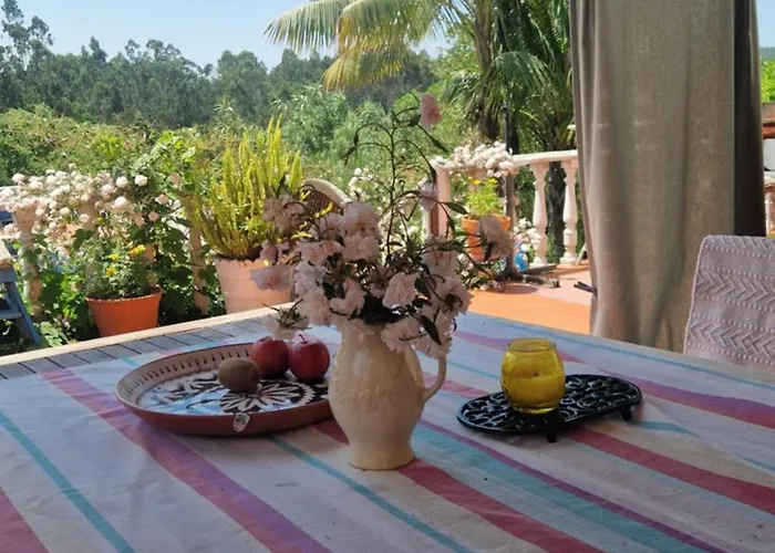 ヴィラ Honeysuckle And Flo A Dos Francos